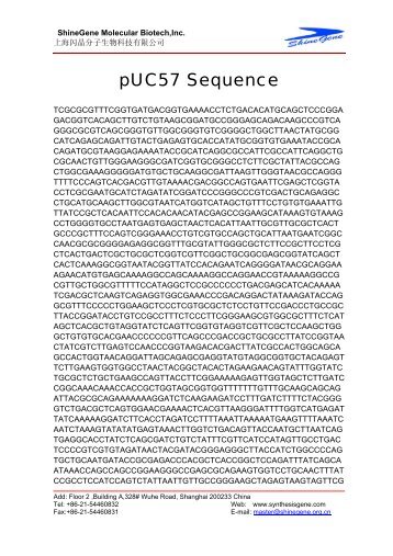 pUC57 sequence - Gene Synthesis
