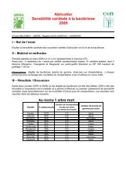 Abricotier SensibilitÃ© variÃ©tale Ã  la bactÃ©riose 2009