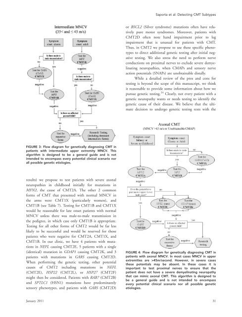 Charcot-Marie-Tooth disease subtypes and genetic ... - ResearchGate