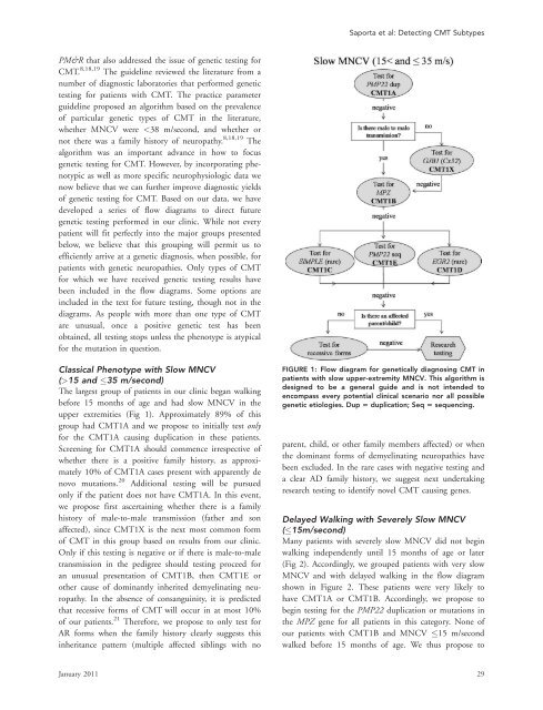 Charcot-Marie-Tooth disease subtypes and genetic ... - ResearchGate