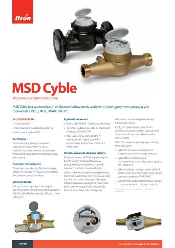 MSD Cyble - Itron