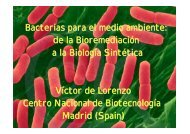 Bacterias para el medio ambiente - CNB - Protein Design Group