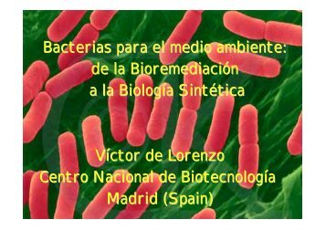 Bacterias para el medio ambiente - CNB - Protein Design Group