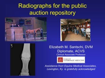 Distal_limb_radiography.pdf