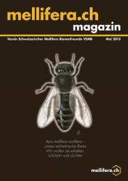 magazin - Verein Schweizerischer Mellifera Bienenfreunde