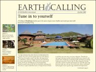 EARTH CALLING - CGH Earth