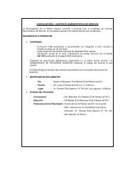 CONVOCATORIA â CONTRATO ADMINISTRATIVO DE SERVICIO ...