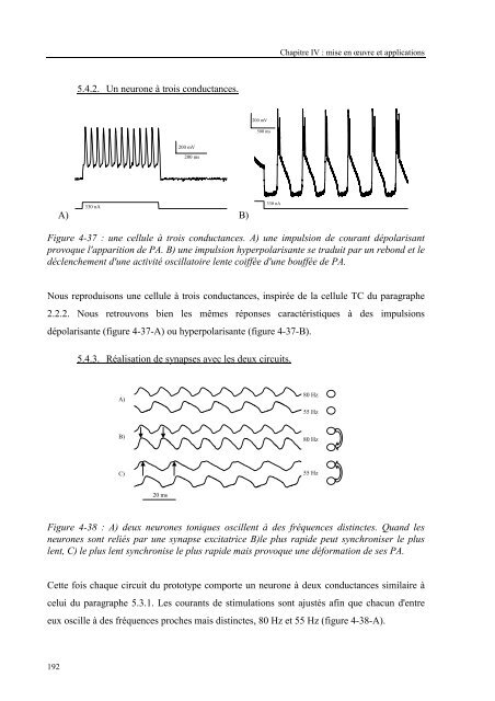 Circuits et systemes de modelisation analogique de neurones ...