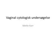 Den praktiserende lÃ¦ge og kvinden - Dansk Cytologiforening