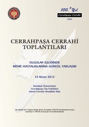 ToplantÃ„Â± BroÃ…ÂŸÃƒÂ¼rÃƒÂ¼ - Ã„Â°stanbul ÃƒÂœniversitesi