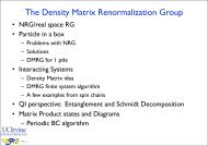 The Density Matrix Renormalization - PiTP