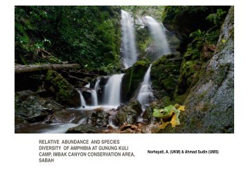 relative abundance and species diversity of amphibia at gunung kuli ...