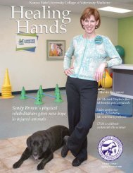 Healing Hands - College of Veterinary Medicine - Kansas State ...