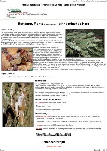 Rottanne, Fichte (Picea abies L.) - einheimisches Harz