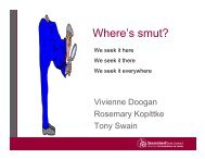 Where's smut?