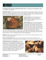 Asian clam, Corbicula fluminea - Southeast Ecological Science ...