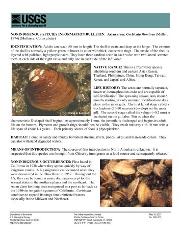 Asian clam, Corbicula fluminea - Southeast Ecological Science ...