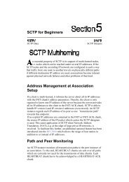 05 SCTP for Beginners SCTP Multihoming.pdf