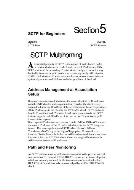 05 SCTP for Beginners SCTP Multihoming.pdf
