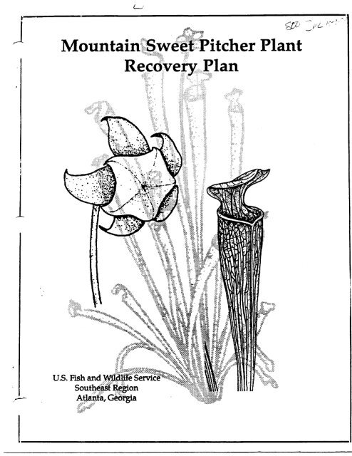 weet Pitcher Plant erv Plan - Herbarium - North Carolina State ...
