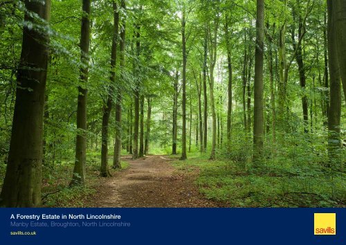 A Forestry Estate in North Lincolnshire Manby Estate ... - Savills