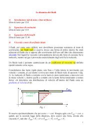 Dinamica dei fluidi - Infn