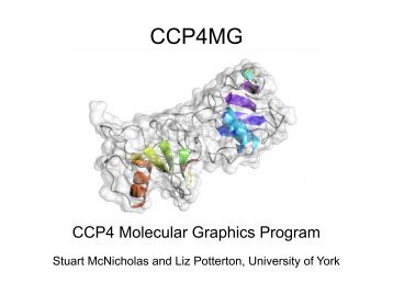 Stuart McNicholas: ccp4mg - York Structural Biology Laboratory ...