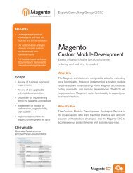 Custom Module Development PDF - Magento