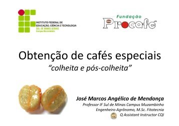 Obtenção de Cafés Especiais: cuidados na colheita e pós-colheita