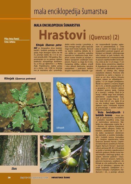 Dan hrvatskog šumarstva 2 Kako nestaju šume 10 ... - Hrvatske šume