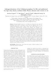 Lithogeochemistry of the Collahuasi porphyry CuâMo and ...