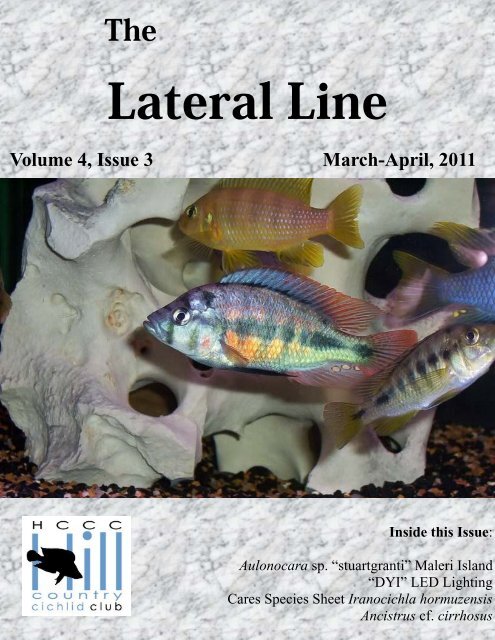 Lateral Line March 2011 - Hill Country Cichlid Club