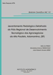 Levantamento PedolÃ³gico Detalhado do PÃ³lo Regional de ... - IAC