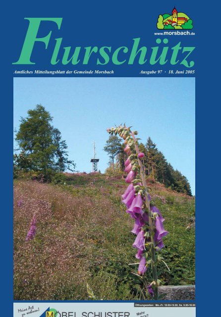 97. Ausgabe vom 18.06.2005 - Gemeinde Morsbach