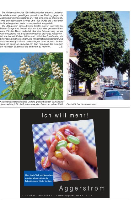 97. Ausgabe vom 18.06.2005 - Gemeinde Morsbach