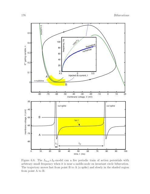 Dynamical Systems in Neuroscience: