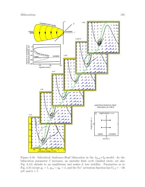 Dynamical Systems in Neuroscience: