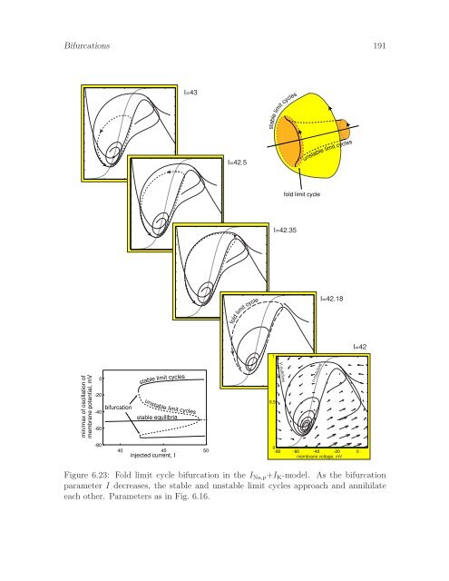 Dynamical Systems in Neuroscience: