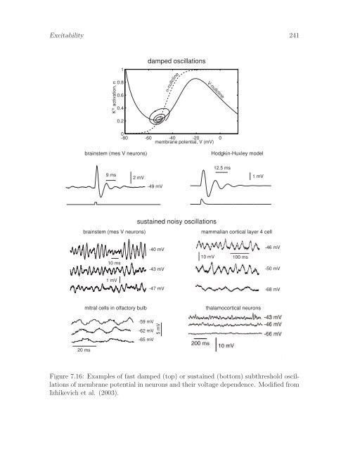 Dynamical Systems in Neuroscience: