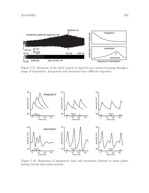 Dynamical Systems in Neuroscience: