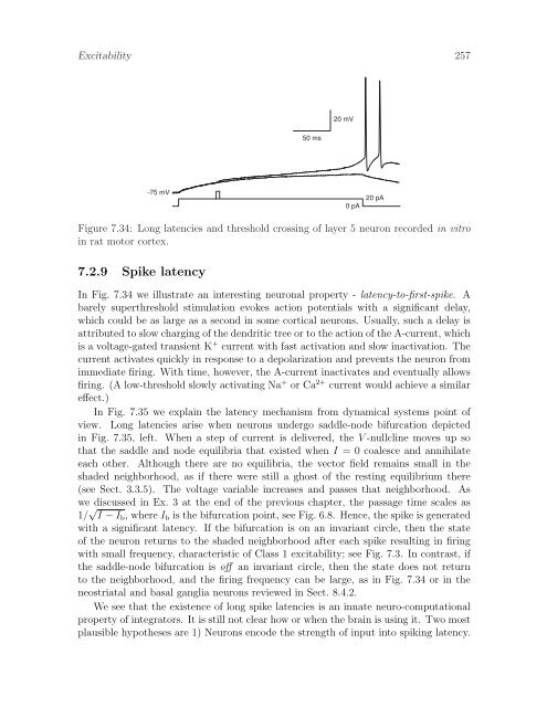 Dynamical Systems in Neuroscience: