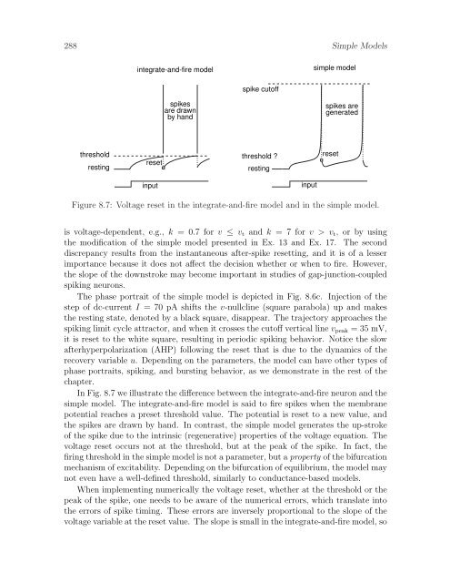 Dynamical Systems in Neuroscience: