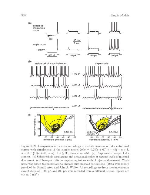 Dynamical Systems in Neuroscience: