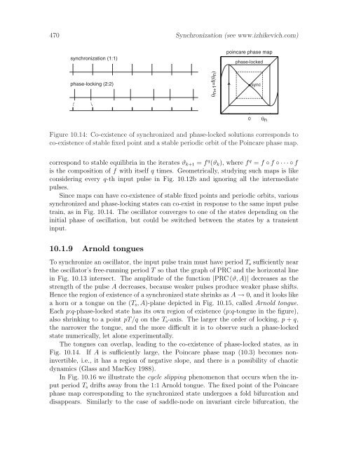 Dynamical Systems in Neuroscience: