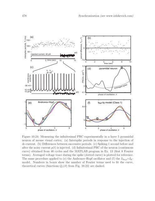 Dynamical Systems in Neuroscience: