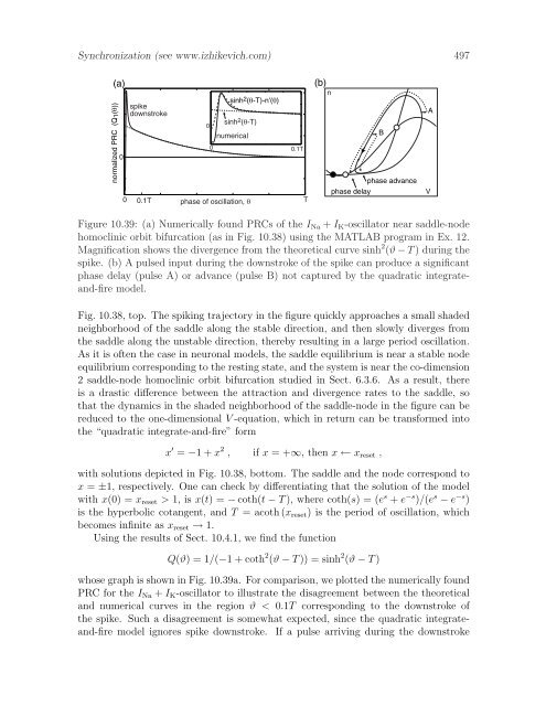 Dynamical Systems in Neuroscience: