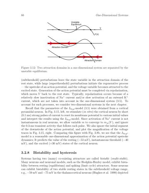 Dynamical Systems in Neuroscience: