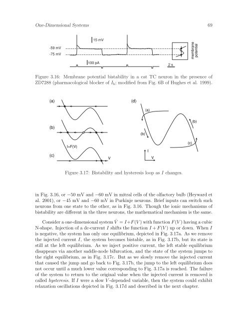 Dynamical Systems in Neuroscience: