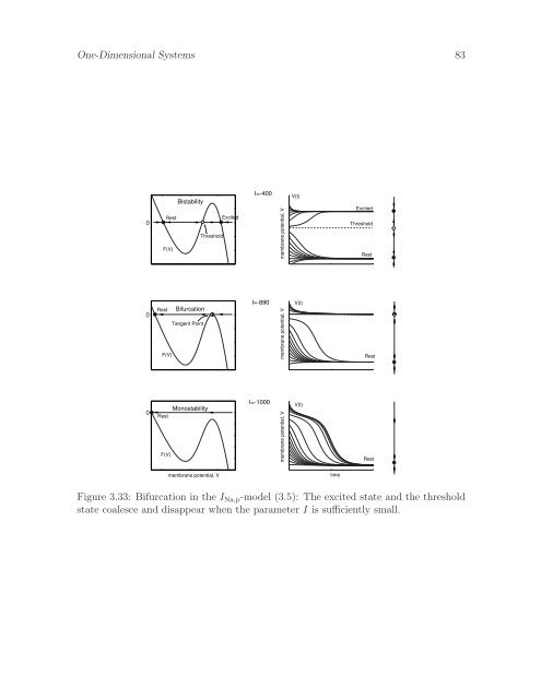 Dynamical Systems in Neuroscience:
