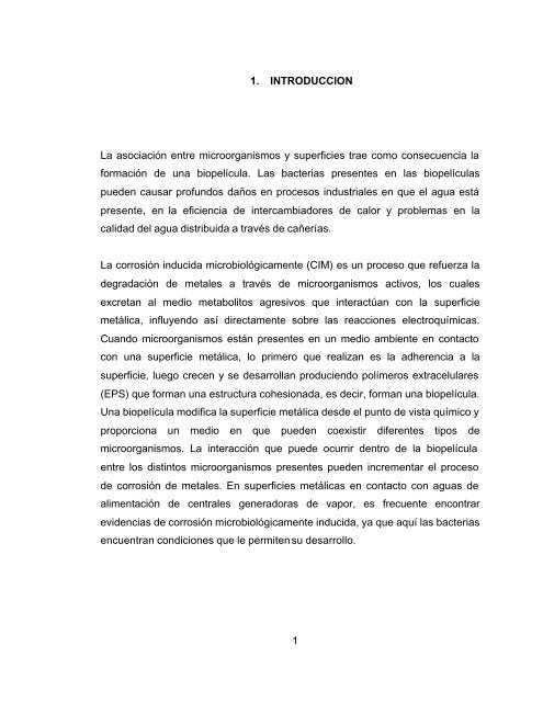 Portada tesis Jorge RÃ­os Alveal.DOC - CyberTesis UACh ...